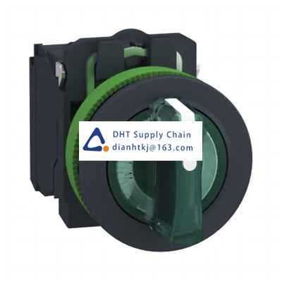 Key switches and selector switches Schneider Electric_XB5FK133M5