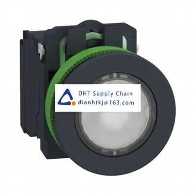 Pushbutton switches and components Schneider Electric_XB5FW31G5