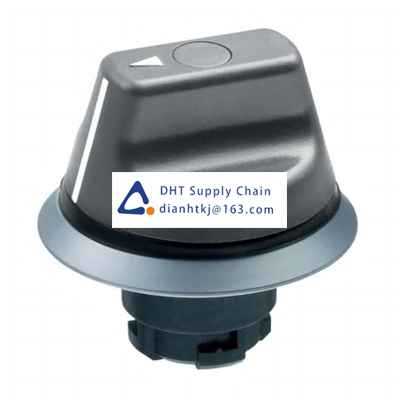 Key switches and selector switches Schmersal_101163541