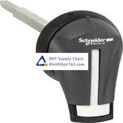 Disconnector and components Schneider Electric_GS2AH310