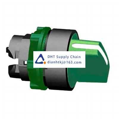 Key switches and selector switches Schneider Electric_ZB5AD203