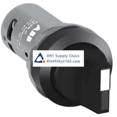 Key switches and selector switches ABB_1SFA619201R1046 C2SS2-10B-01