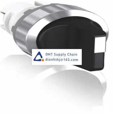 Key switches and selector switches ABB_1SFA611211R3006