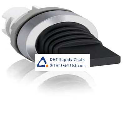 Toggle and slide switches ABB_1SFA611302R3006