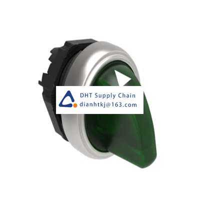 Key switches and selector switches Lovato_LPCSL1303