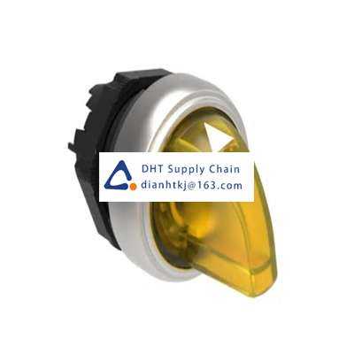 Key switches and selector switches Lovato_LPCSL1305