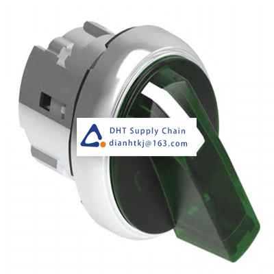 Key switches and selector switches Lovato_LPSSL1203