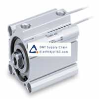 Pneumatic accessories _SMC_CDQ2A50TF-125DCZ