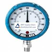 Pneumatic accessories _Rosemount_WPG45XI1G11D000250Q4Q8