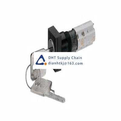 Key switches and selector switches RAFI_1.15.108.572/0100