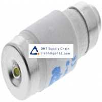  Fuses and Circuit Breakers SIBA_10-028-07/25A