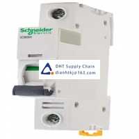  Fuses and Circuit Breakers Schneider Electric_A9F53110