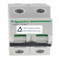  Fuses and Circuit Breakers Schneider Electric_A9F53204