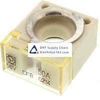  Fuses and Circuit Breakers Littelfuse_155.0892.6171