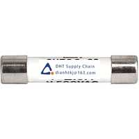  Fuses and Circuit Breakers Schurter_8020.5077.G