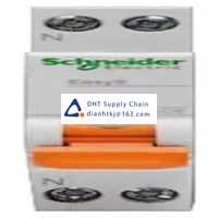  Fuses and Circuit Breakers Schneider Electric_MGNEA9A45C25