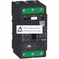  Fuses and Circuit Breakers Schneider Electric_GV4LE12S