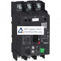  Fuses and Circuit Breakers Schneider Electric_GV4PEM80B6