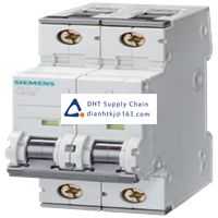  Fuses and Circuit Breakers Siemens_5SY6210-7