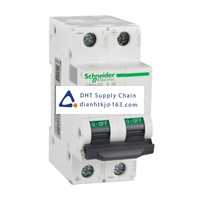  Fuses and Circuit Breakers Schneider Electric_A9N22022