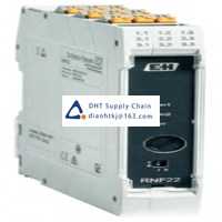 Endress+Hauser Relay RNF22-8KA Original Neww Stock Price 