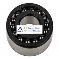 Bearings-seals SKF_1306 ETN9/C3