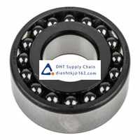 Bearings-seals SKF_1309 ETN9/C3