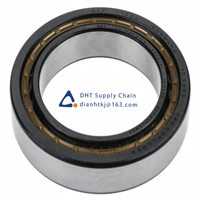 Bearings-seals SKF_NU 1020 M/C3