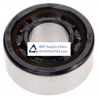 Bearings-seals SKF_NU204ECP