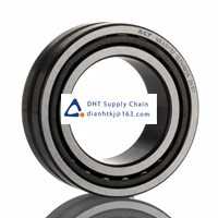 Bearings-seals SKF_NA 49/32