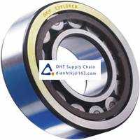 Bearings-seals SKF_NU 303 ECP