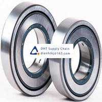 Bearings-seals SKF_NATR 25 PP