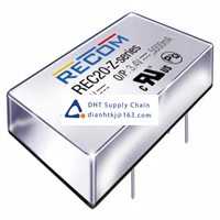 Voltage converter_Recom_REC20-4812SZ
