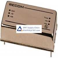 Voltage converter_Recom_RP30-4812SFW