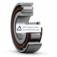 Bearings-seals SKF_N 205 ECP