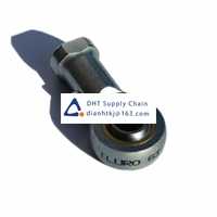 Bearings-seals Fluro_GI10x1.25