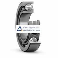 Bearings-seals SKF_7317 BEGAF