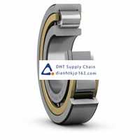 Bearings-seals SKF_NJ 213 ECP/C3