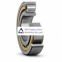 Bearings-seals SKF_NJ 2313 ECP/C3