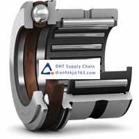 Bearings-seals SKF_NKX 60