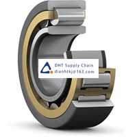Bearings-seals SKF_NU 1021 ML