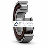 Bearings-seals SKF_N 320 ECP/C3