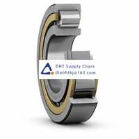 Bearings-seals SKF_NJ 2206 ECP/C3