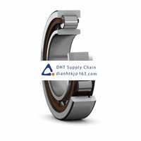 Bearings-seals SKF_NU 324 ECJ/C3