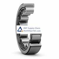 Bearings-seals SKF_RNU 306