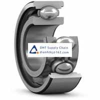 Bearings-seals SKF_6313