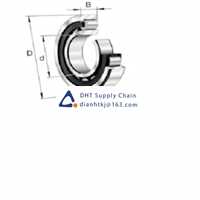Bearings-seals FAG_NU2211-E-XL-TVP2