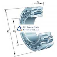 Bearings-seals FAG_21310-E1-XL